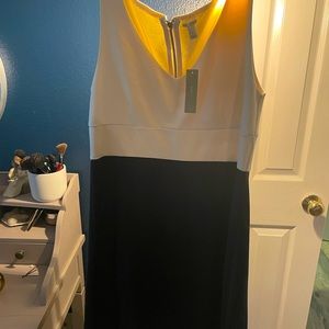 JCrew size 12 navy and cream fitted a-line dress
